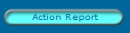 Action Report